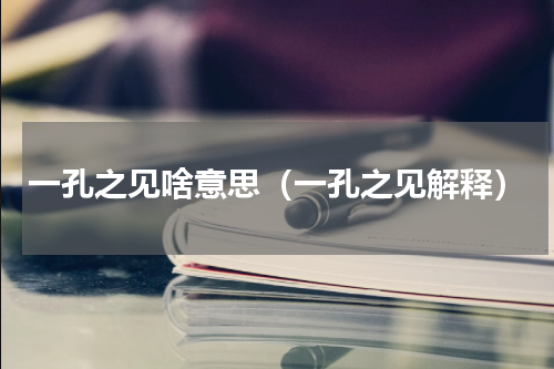 一孔之见啥意思（一孔之见解释）