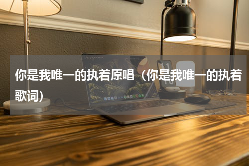 你是我唯一的执着原唱（你是我唯一的执着歌词）