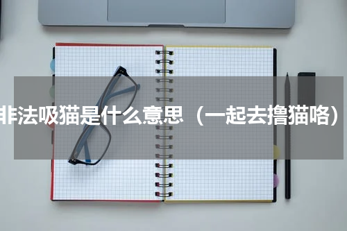 非法吸猫是什么意思（一起去撸猫咯）