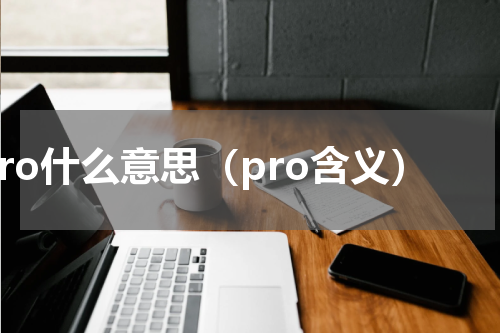 pro什么意思（pro含义）