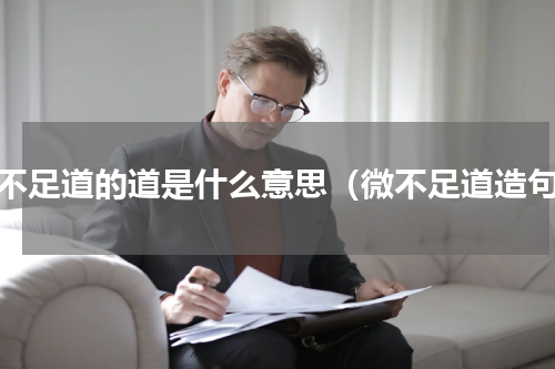 微不足道的道是什么意思（微不足道造句）