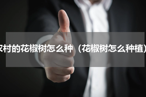农村的花椒树怎么种（花椒树怎么种植）