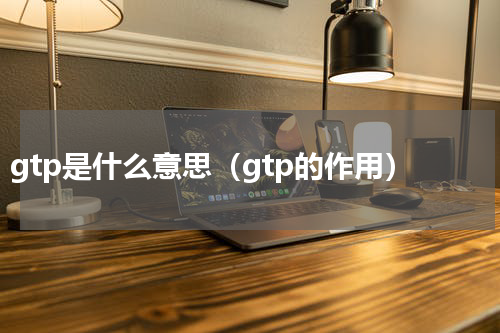 gtp是什么意思（gtp的作用）