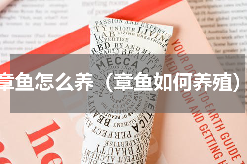 章鱼怎么养（章鱼如何养殖）