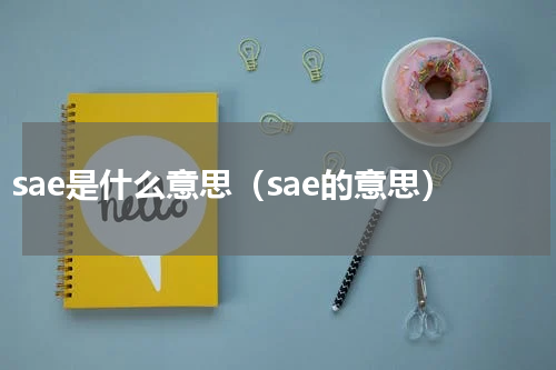 sae是什么意思（sae的意思）