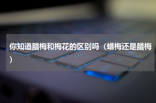 你知道腊梅和梅花的区别吗（蜡梅还是腊梅）