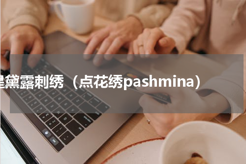 星黛露刺绣（点花绣pashmina）
