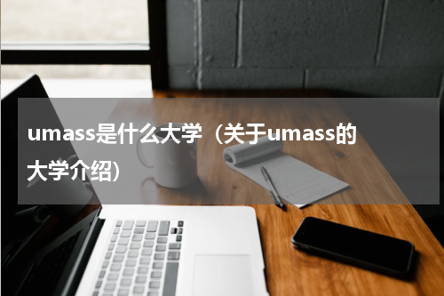 umass是什么大学（关于umass的大学介绍）