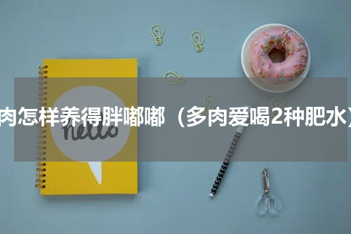 多肉怎样养得胖嘟嘟（多肉爱喝2种肥水）