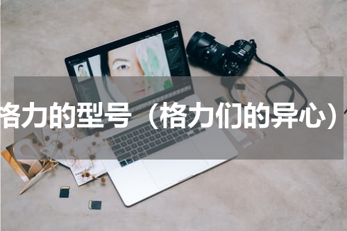 格力的型号（格力们的异心）