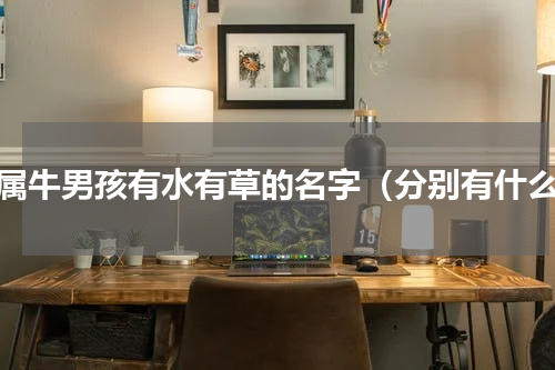 为属牛男孩有水有草的名字（分别有什么）
