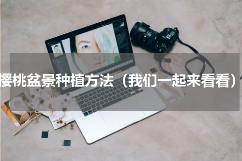 樱桃盆景种植方法（我们一起来看看）