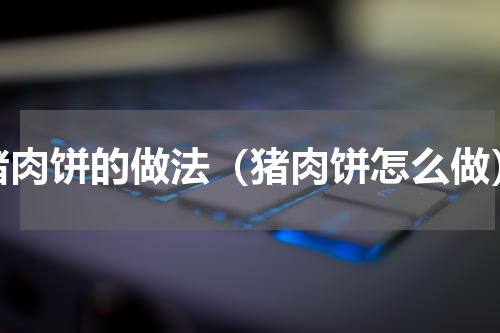 猪肉饼的做法（猪肉饼怎么做）