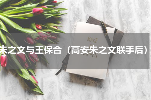 朱之文与王保合（高安朱之文联手后）