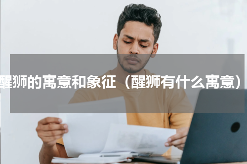 醒狮的寓意和象征（醒狮有什么寓意）
