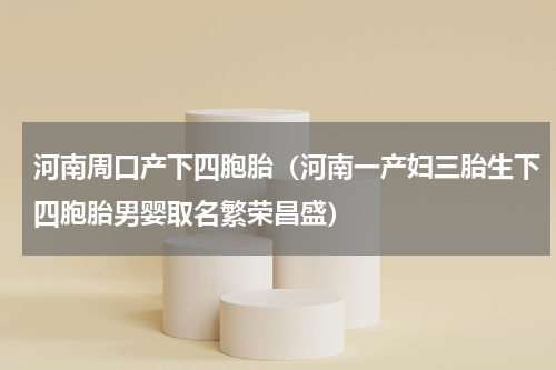 河南周口产下四胞胎（河南一产妇三胎生下四胞胎男婴取名繁荣昌盛）