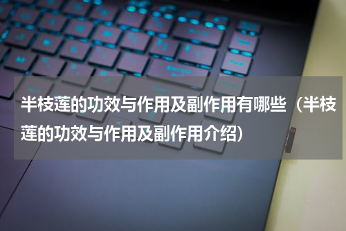 半枝莲的功效与作用及副作用有哪些（半枝莲的功效与作用及副作用介绍）