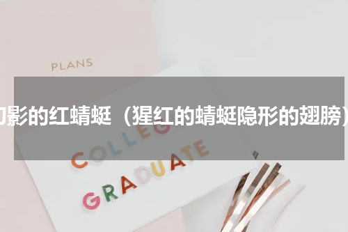 幻影的红蜻蜓（猩红的蜻蜓隐形的翅膀）
