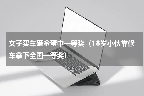 女子买车砸金蛋中一等奖（18岁小伙靠修车拿下全国一等奖）