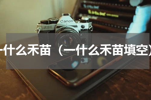 一什么禾苗（一什么禾苗填空）