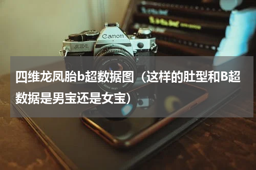 四维龙凤胎b超数据图（这样的肚型和B超数据是男宝还是女宝）