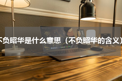 不负昭华是什么意思（不负昭华的含义）