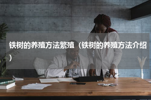 铁树的养殖方法繁殖（铁树的养殖方法介绍）