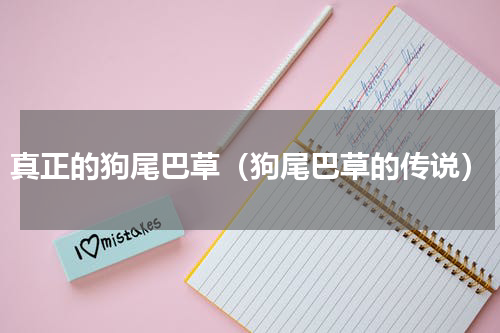 真正的狗尾巴草（狗尾巴草的传说）