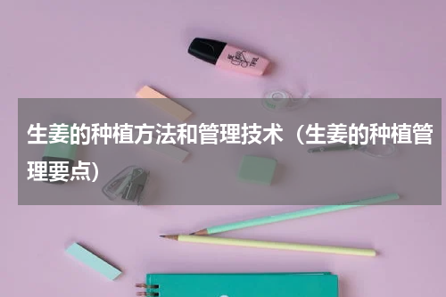 生姜的种植方法和管理技术（生姜的种植管理要点）