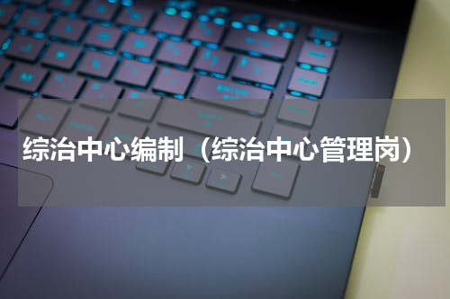 综治中心编制（综治中心管理岗）