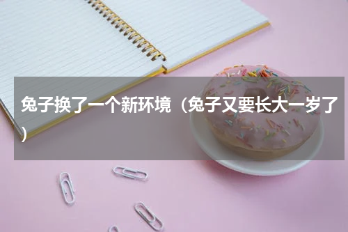 兔子换了一个新环境（兔子又要长大一岁了）