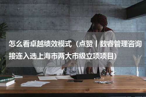 怎么看卓越绩效模式（点赞丨数睿管理咨询接连入选上海市两大市级立项项目）