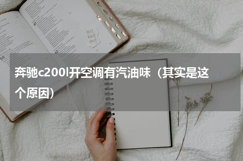 奔驰c200l开空调有汽油味（其实是这个原因）