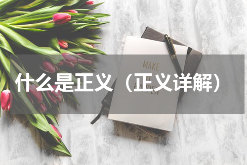 什么是正义（正义详解）