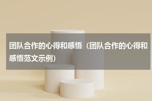 团队合作的心得和感悟（团队合作的心得和感悟范文示例）