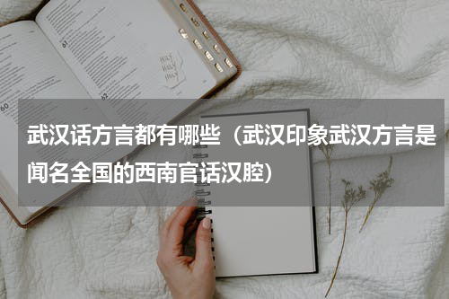 武汉话方言都有哪些（武汉印象武汉方言是闻名全国的西南官话汉腔）
