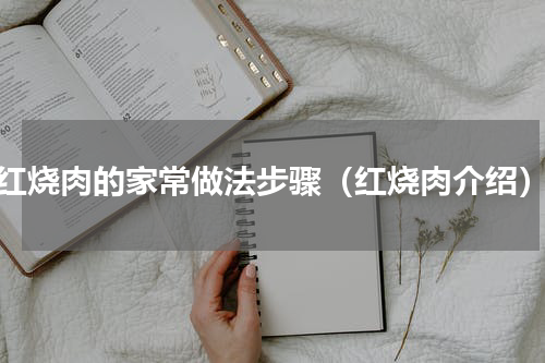 红烧肉的家常做法步骤（红烧肉介绍）
