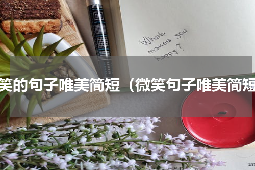微笑的句子唯美简短（微笑句子唯美简短）