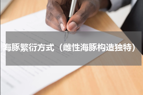 海豚繁衍方式（雌性海豚构造独特）
