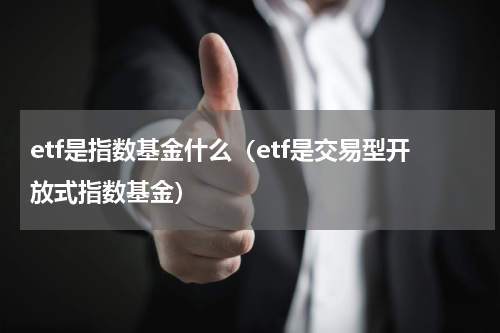 etf是指数基金什么（etf是交易型开放式指数基金）