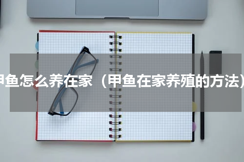 甲鱼怎么养在家（甲鱼在家养殖的方法）