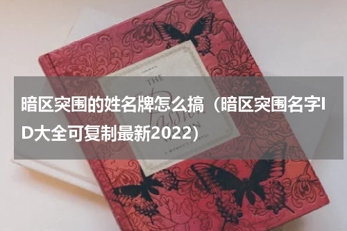 暗区突围的姓名牌怎么搞（暗区突围名字ID大全可复制最新2022）