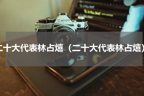 二十大代表林占熺（二十大代表林占熺）