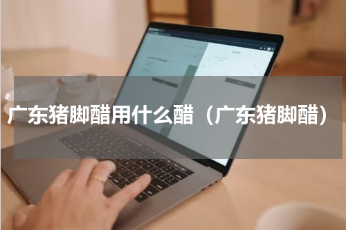 广东猪脚醋用什么醋（广东猪脚醋）