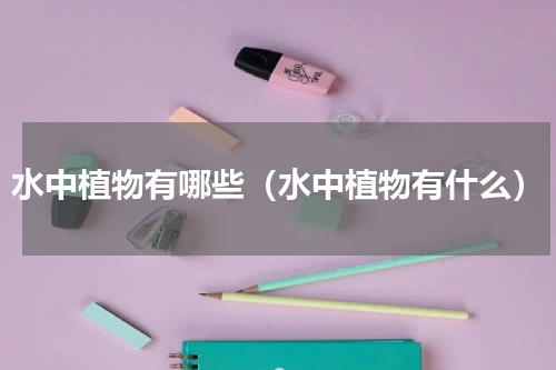 水中植物有哪些（水中植物有什么）