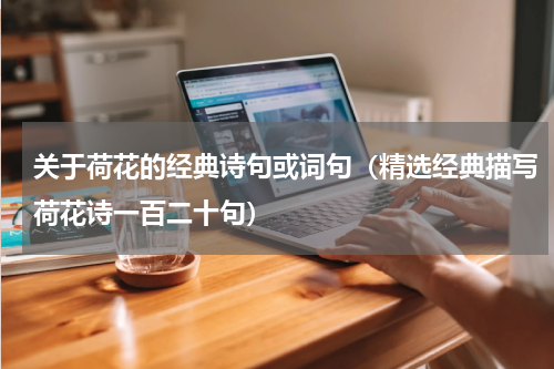 关于荷花的经典诗句或词句（精选经典描写荷花诗一百二十句）