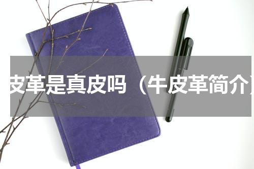 牛皮革是真皮吗（牛皮革简介）
