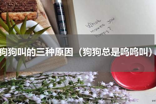 狗狗叫的三种原因（狗狗总是呜呜叫）