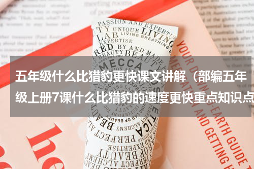 五年级什么比猎豹更快课文讲解（部编五年级上册7课什么比猎豹的速度更快重点知识点）