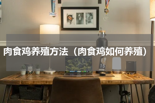 肉食鸡养殖方法（肉食鸡如何养殖）